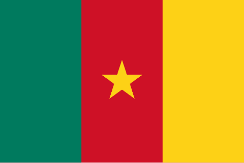 Drapeau : Cameroun