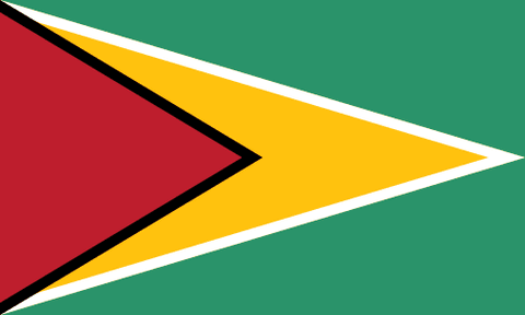 Drapeau : Guyane