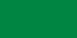 Drapeau : La Libye de Kadhafi