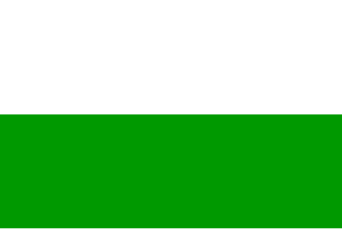 Drapeau : Royaume de Saxe