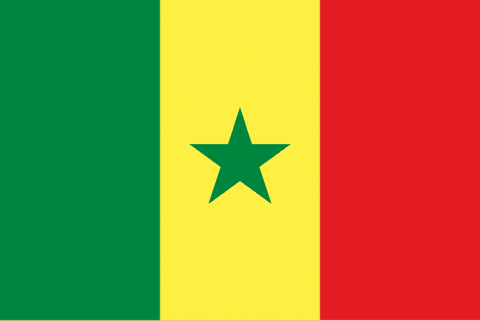 Drapeau : Sénégal