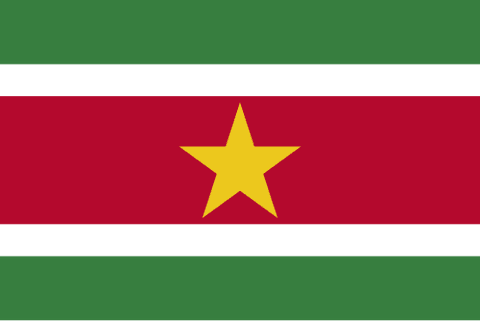Drapeau : Surinam