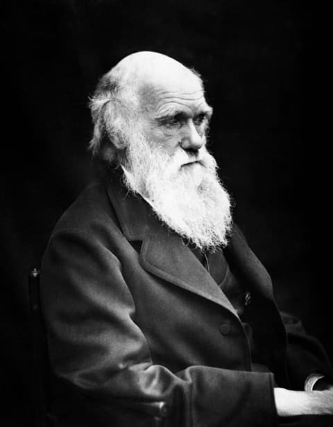 Portrait de Charles Darwin