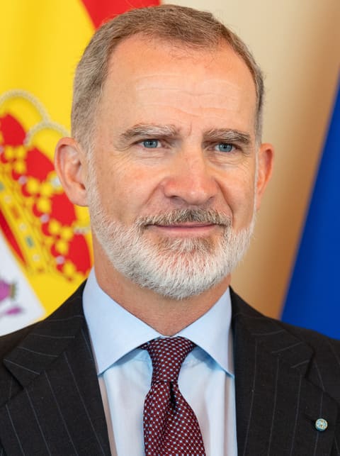 Portrait de Felipe VI