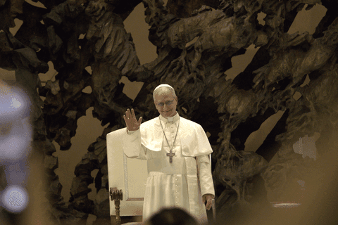 Portrait de Pope Leo XIV