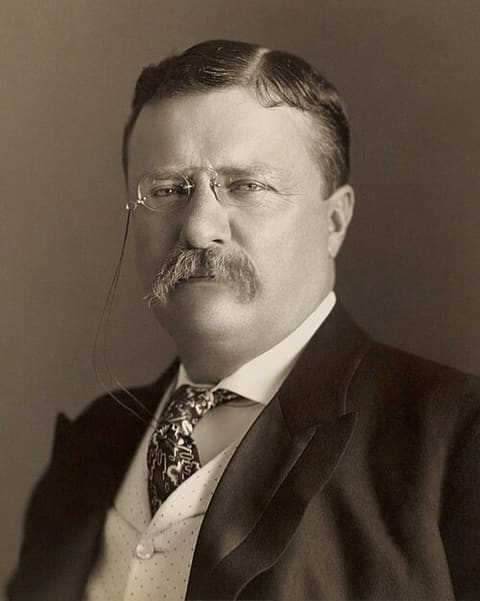 Portrait de Theodore Roosevelt